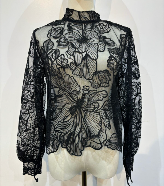 Blouse en tulles brodés